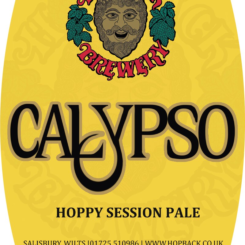 Calypso pump clip