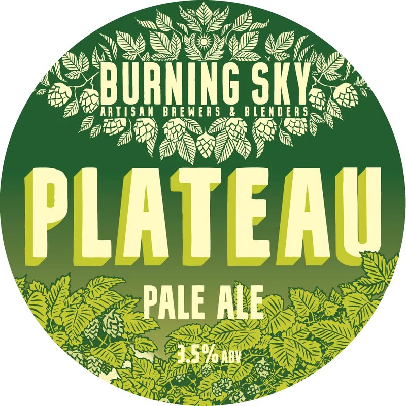 Plateau pump clip